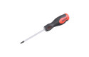 Thumbnail of tx30-x-100mm-screwdriver--timco_852386.jpg