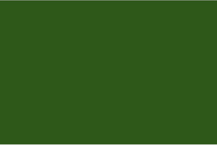 DEUTZ DARK GREEN PAINT