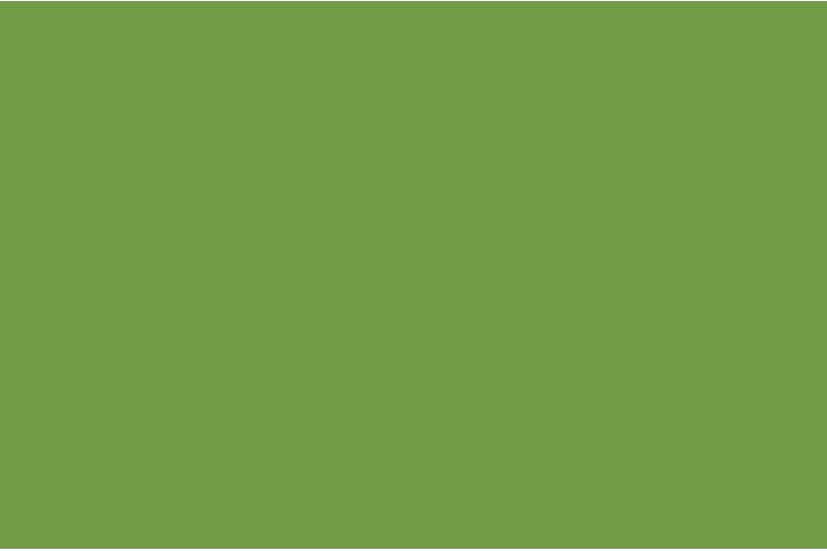 DEUTZ GREEN PAINT 1 LTR