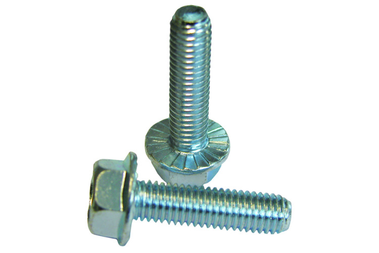 M10 X 30MM THREAD FORMING FLANGE HEX SCREW (ZINC) (TRITAP)